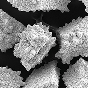 uncoated-borazon-bmp-powder.jpg